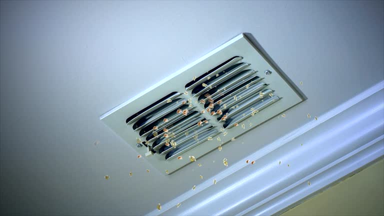Best Affordable HVAC Duct Cleaning  in Aubrey, TX