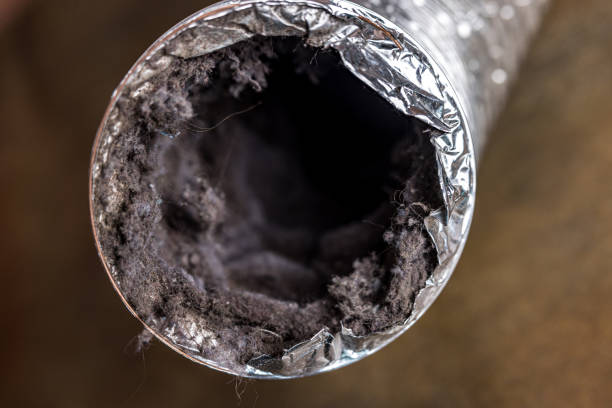 Best Affordable Air Duct Cleaning  in Aubrey, TX